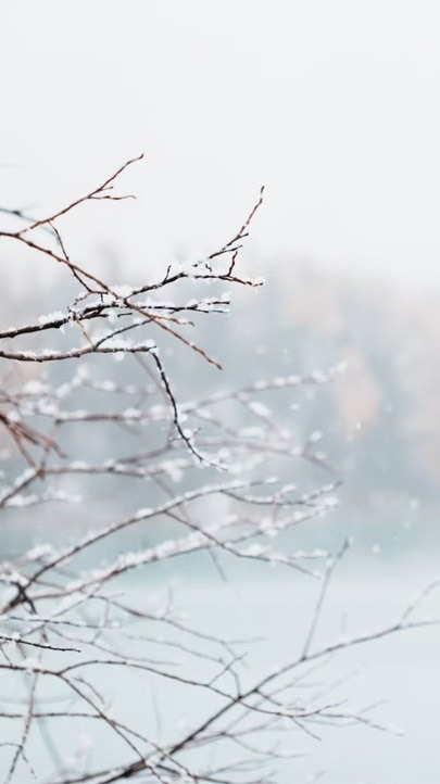 台派女同聚集地35+