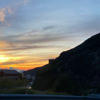 兜峰飼育doufong