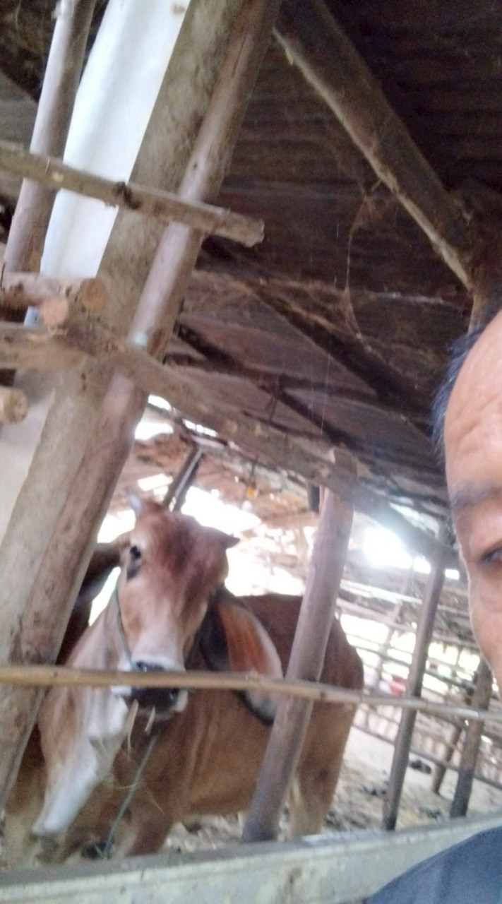 คนชายแดน