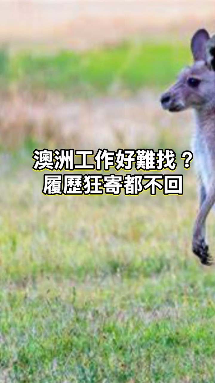 澳洲打工度假，履歷許願池：