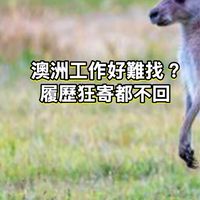 澳洲打工度假，履歷許願池：