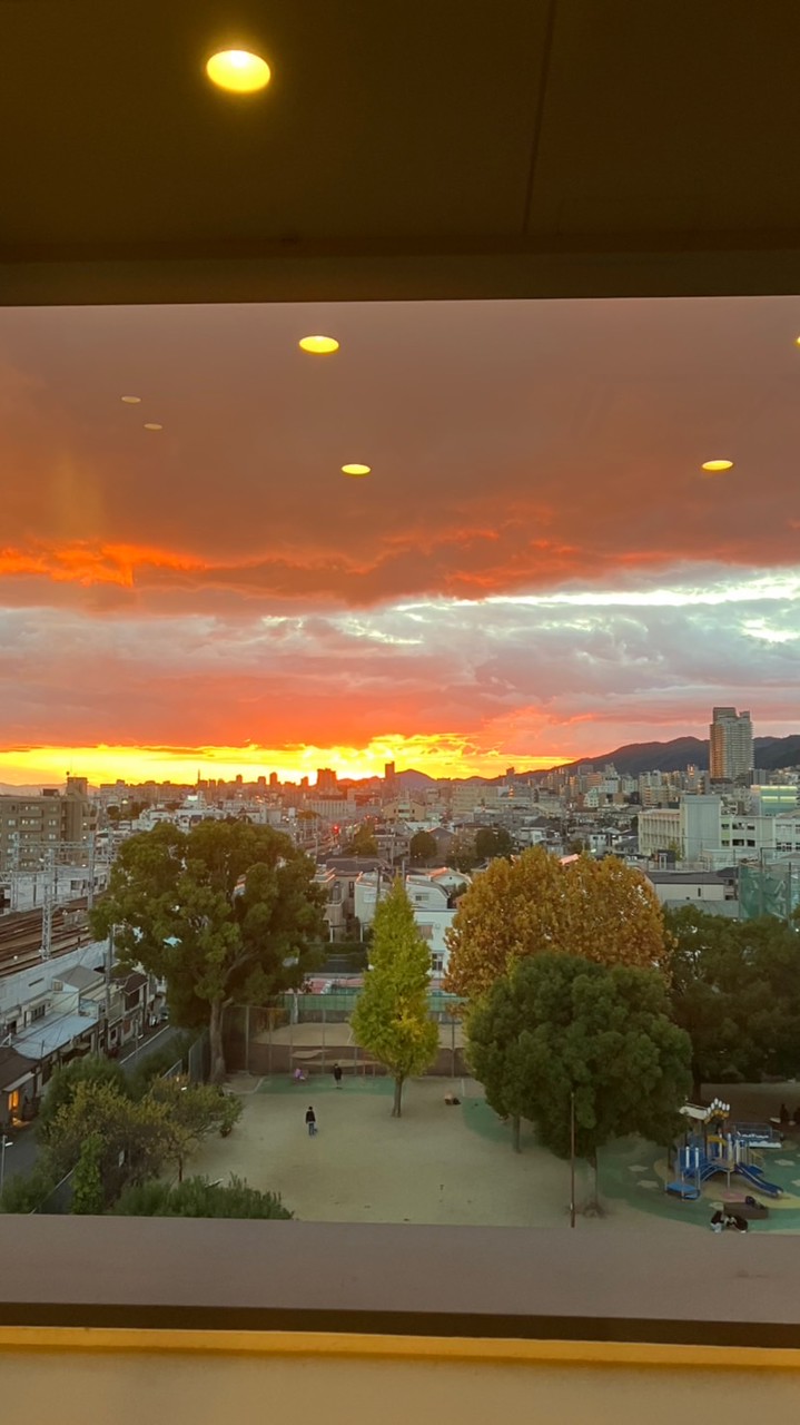 相談部便利屋(雑談OK)