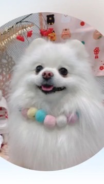 6/29🎂AKI＆Kayopi誕生日イベント🎂