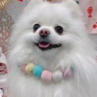 6/29🎂AKI＆Kayopi誕生日イベント🎂