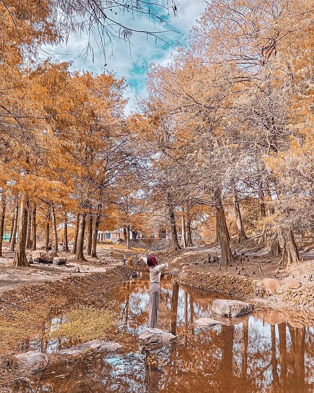 （圖片來源IG／@gominkin）