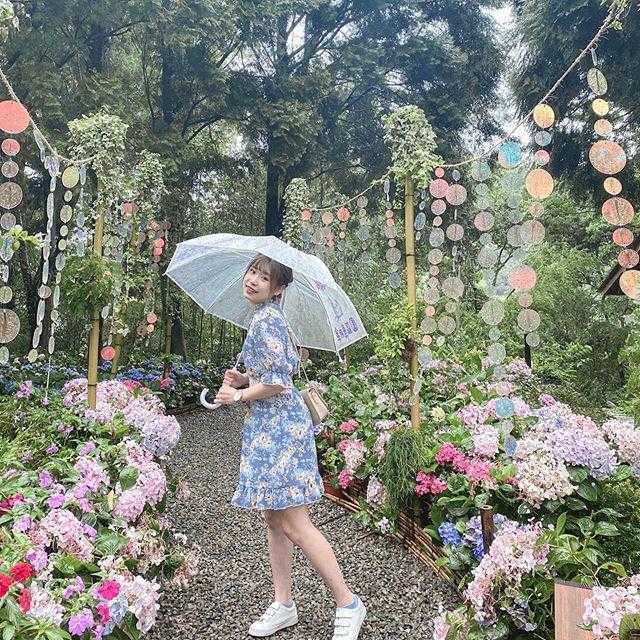 薰衣草森林,新竹薰衣草森林,尖石薰衣草森林,薰衣草