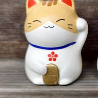 管管代購群之聊天專用群