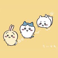 🇯🇵05/03-05/11日本東京代購✨
