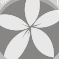 2026新楊平社大表演（原苗栗表演）