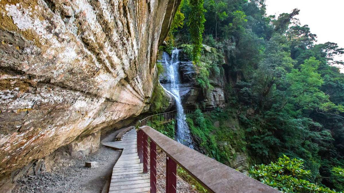 嘉義最消暑玩法！２大瀑布祕境＋10條森林步道：阿里山五星級步道、嵐山竹林