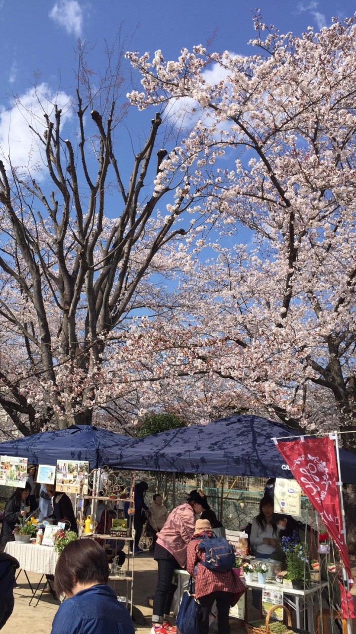 盛り上げよう！東川口・戸塚安行L