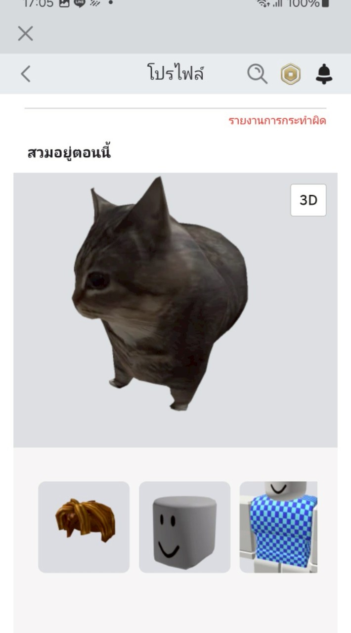 FC แมวบวมมานี่มา
