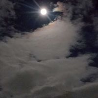 全国民すごい雑談部屋