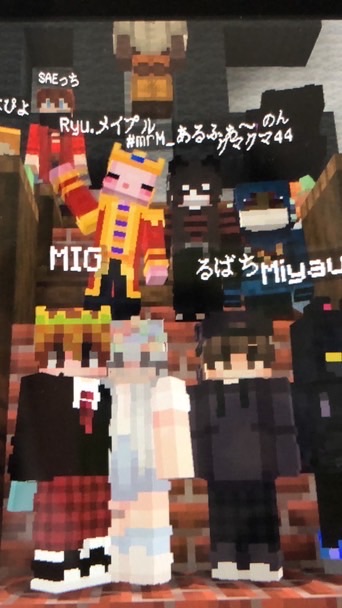 Block & Chat 【 Minecraft / マイクラ 】