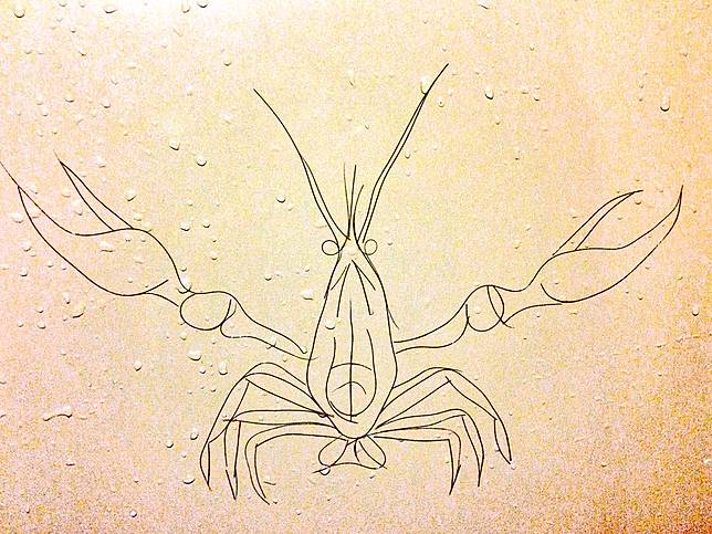 Wanita Ini Buat Lukisan Pakai Helaian Rambut Rontok