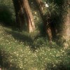 Eternal Horizons | Gacha |
