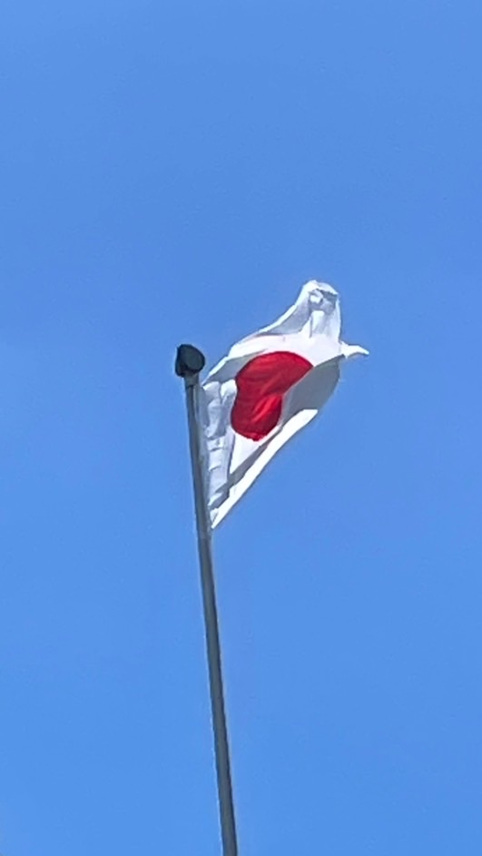 右翼たちで話そう