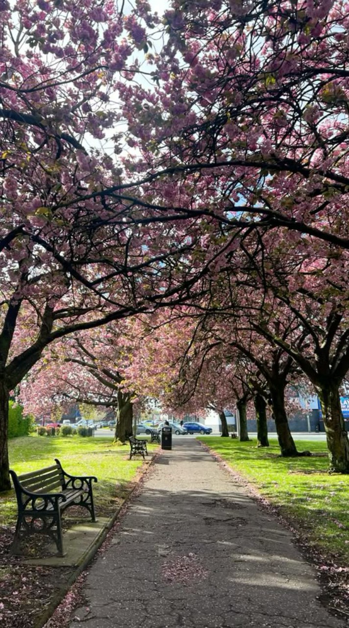 แปะงานได้!🎨🖌