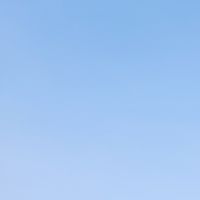 鳥松仁武區榮民眷交流平台
