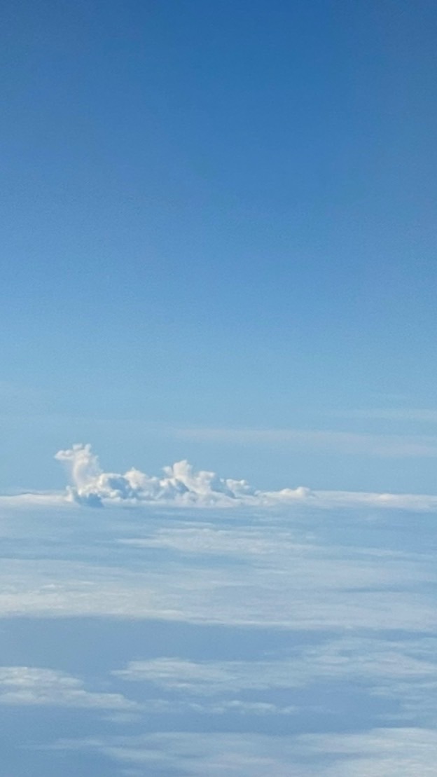 【真道】まことの道にいざなう