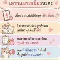 🐱 บ้านแมวเหมียว 💸💰