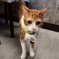 基隆熊貓 foodpandan Ubereats 581 外送討論分享聊天八卦群