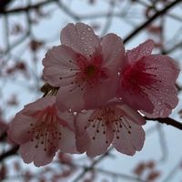享「瘦」珍「昔」每一天