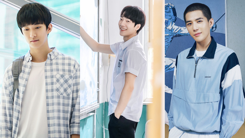 陸劇隱藏版校園男神