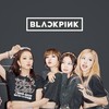 BLACK PINK 專屬粉絲群