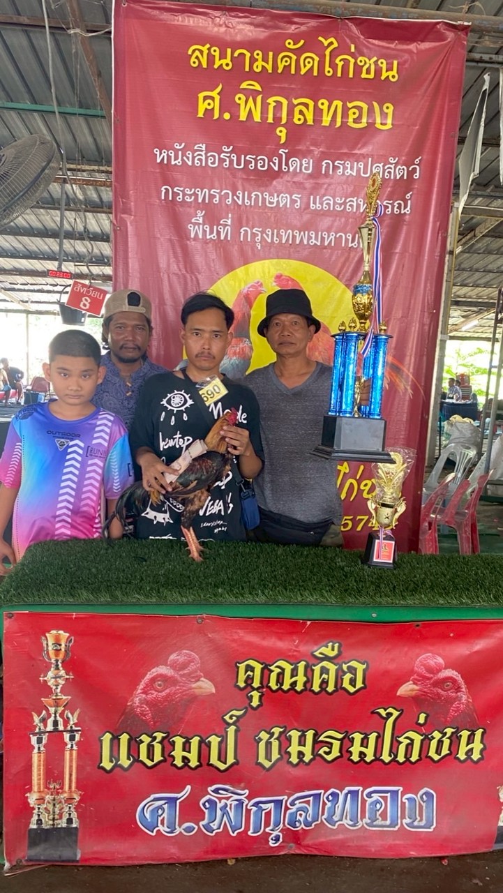ปล้ำไก่ ปลายลาด
