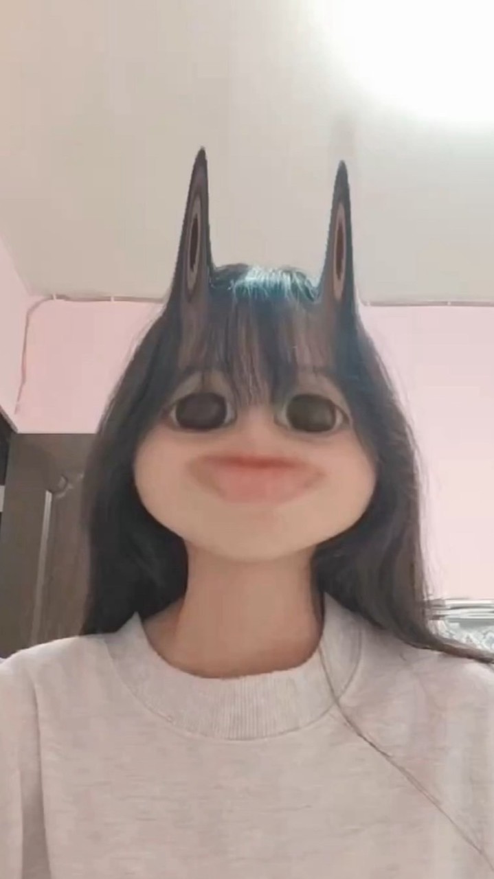 白熊美女醜照群