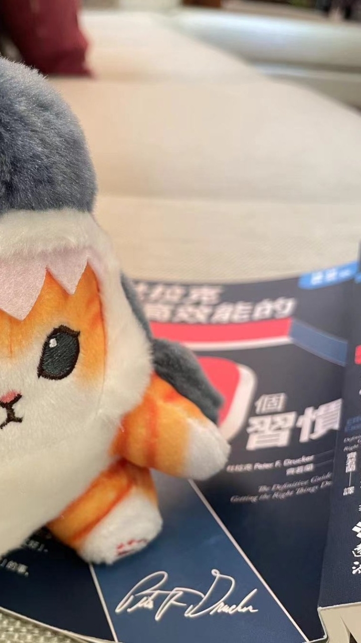 鯊小貓與霸王龍的閱讀時光