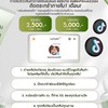นายหน้าพันธมิตรแฟรี่ปาย