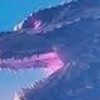 フォトナ一緒にやろ