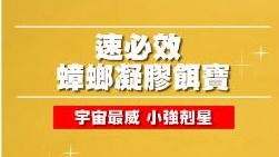 【速必效】蟑螂凝膠餌寶