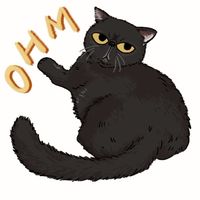 OHM.日本親飛代購 🇯🇵