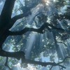 もういいかい？：全緩也ハント