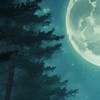 折伽羅魔法学園パロ