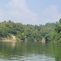 瀧澤科M31股市參考