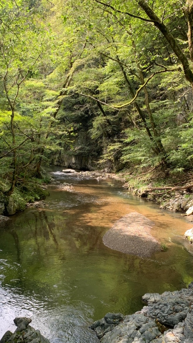 理科生物部のオープンチャット