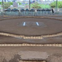 登米市、米山町の相撲を応援