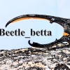 Beetle.betta 甲蟲競標區/技術討論