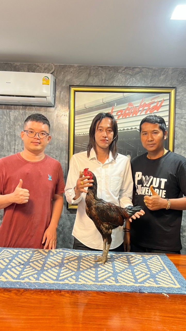 ใบประวัติ 🐓นันทวุฒิ ฟาร์ม🐓