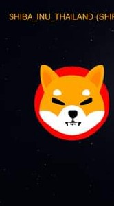 Shiba Thailand  พูดคุยสอบถามเรื่องบิทคอย