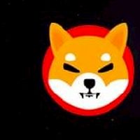 Shiba Thailand  พูดคุยสอบถามเรื่องบิทคอย
