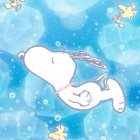🍭徳島🍭30代40代50代友達や話相手欲しい方