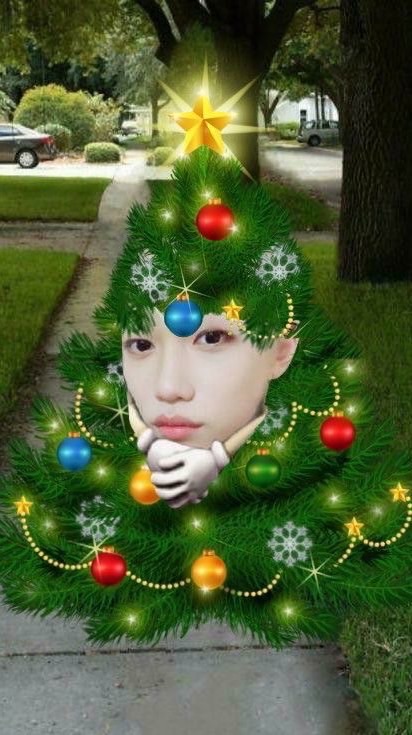 Jaifei plaza in floptropica