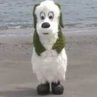 全緩也　ぽまえら俺にハント見せろよな⁉️⁉️⁉️⁉️🫵