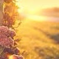 天水閣