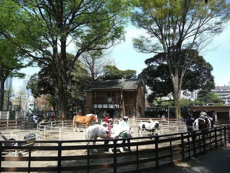 都内 無料で動物ふれあいが楽しめるスポット 乗馬も多数 前編